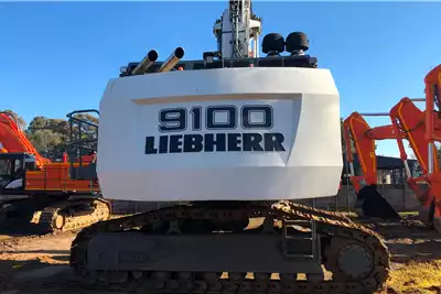 Liebherr Excavators R9100 (Auction Unit) 2012 for sale by Liquidity Services SA PTY LTD | Truck & Trailer Marketplace