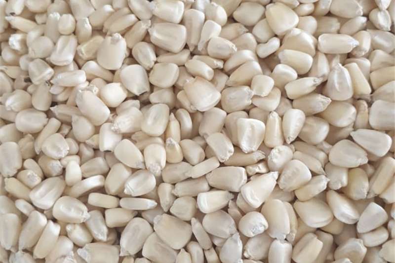 Used Whole White Maize for sale in Freestate | R 4,000