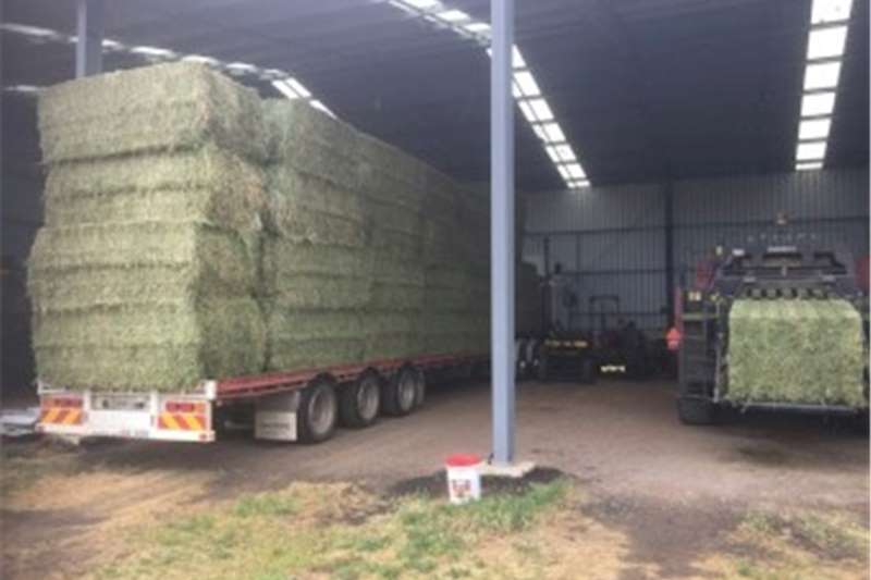 a variety of Livestock on offer in South Africa on Truck & Trailer Marketplace