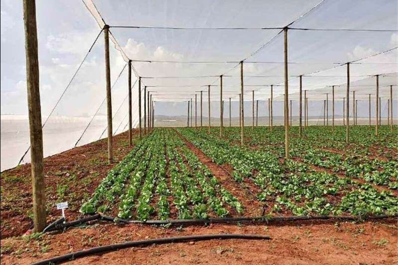 Structures and dams in South Africa on AgriMag Marketplace