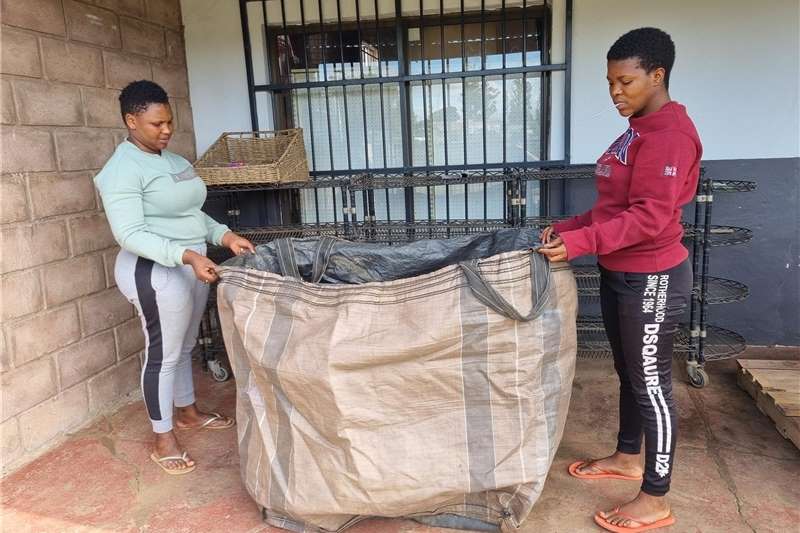 Packhouse equipment Packaging materials 1ton Polyprop Bags, Used, for sale. Camperdown/Uml for sale by Private Seller | AgriMag Marketplace