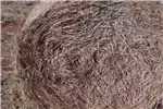Livestock Livestock feed Bales for sale for sale by Private Seller | Truck & Trailer Marketplace