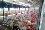 Structures and dams Livestock housing  Chicken coops for sale....  https://shakurahconstr for sale by Private Seller | AgriMag Marketplace