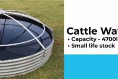 Livestock Feeding systems cattle water trough for sale by Alpha Damme | AgriMag Marketplace