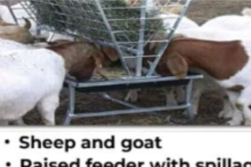 Livestock Feeding systems group sheep feeder