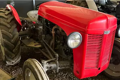 Massey Ferguson Tractors Other tractors 4x2 1955 for sale by Armour Plant Sales | Truck & Trailer Marketplace