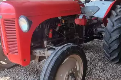 Massey Ferguson Tractors Other tractors 4x2 1955 for sale by Armour Plant Sales | AgriMag Marketplace