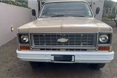 Other trucks 1974 Chevrolet Custom Deluxe 30 Dropsides Bakkie for sale by Dirtworx | Truck & Trailer Marketplace