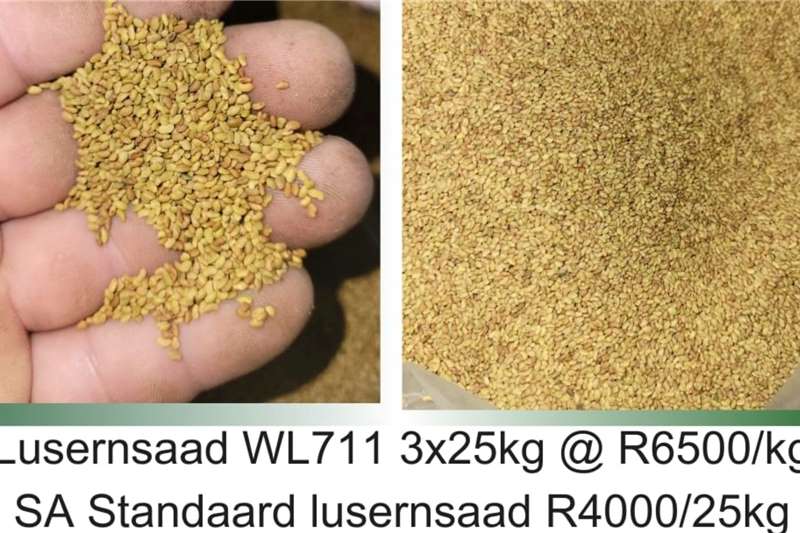 Seeds fertilisers and chemicals Lucern for sale by R3G Landbou Bemarking Agricultural Marketing | AgriMag Marketplace