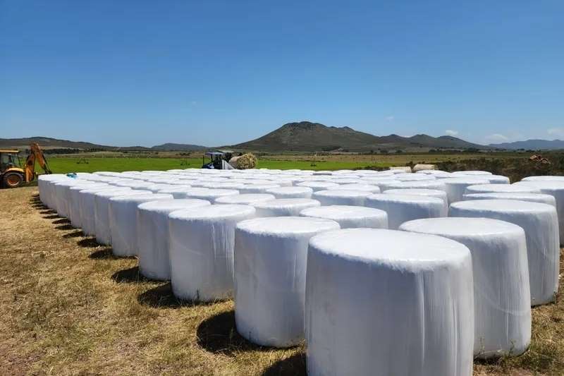 Livestock Livestock feed Sweet Graze Bales for sale by Private Seller | AgriMag Marketplace