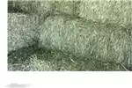 Livestock Livestock feed Lucerne bales for livestock for sale by Private Seller | AgriMag Marketplace