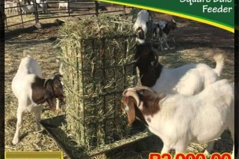 a variety of Livestock on offer in South Africa on AgriMag Marketplace