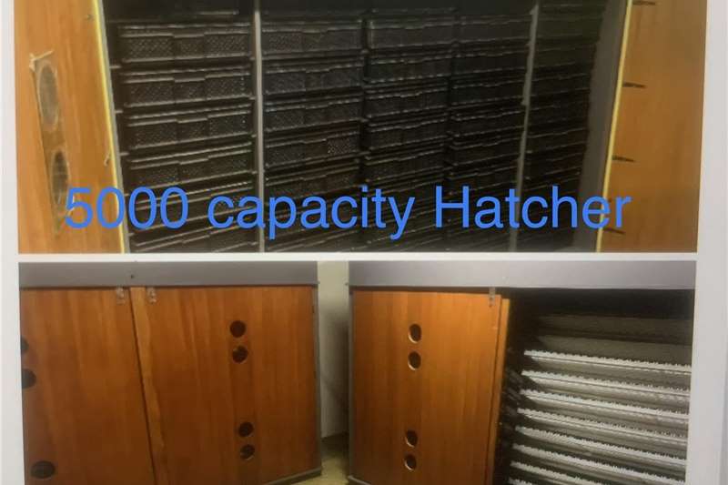 Egg incubator Incubators and hatchers for sale for sale by Private Seller | AgriMag Marketplace