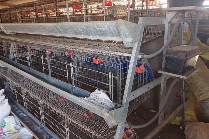 Livestock handling equipment in South Africa on AgriMag Marketplace