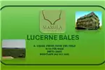 Livestock Livestock feed Lucerne bales and pellets for sale by Private Seller | Truck & Trailer Marketplace