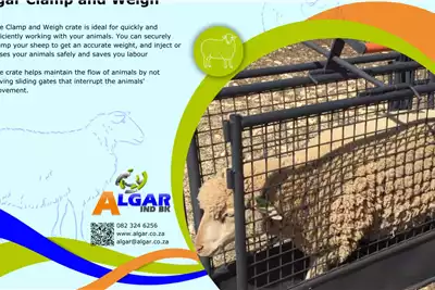 Algar Livestock handling equipment sheep clamp and weigh for sale by Algar | AgriMag Marketplace