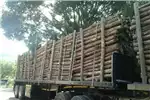 Livestock Poultry Pine pulp timber for sale for sale by Private Seller | Truck & Trailer Marketplace