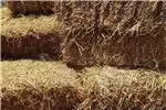 Livestock Livestock feed Wheat straw bales for sale by Private Seller | AgriMag Marketplace