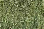 Livestock Cattle Lucerne For Sale for sale by Private Seller | AgriMag Marketplace