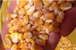 Livestock Livestock feed Whole Yellow Maize for sale for sale by Private Seller | AgriMag Marketplace