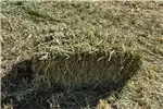 Livestock Livestock feed Oats Bales For Sale for sale by Private Seller | Truck & Trailer Marketplace