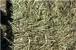 Livestock Livestock feed Oats Bales For Sale for sale by Private Seller | AgriMag Marketplace