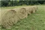 Livestock Livestock feed Hay Bales for sale by Private Seller | Truck & Trailer Marketplace