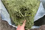 Livestock Livestock feed Lucerne Silage Bales for Livestock | Fresh, Nutrit for sale by Private Seller | Truck & Trailer Marketplace