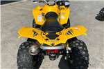  2007 Can-Am Renegade 