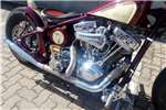  2019 Harley Davidson Custom 
