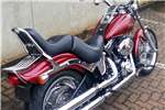  2009 Harley Davidson Softail 