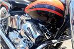  2013 Harley Davidson Softail 