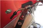  2014 Harley Davidson Softail 