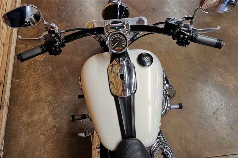 2014 Harley Davidson Softail