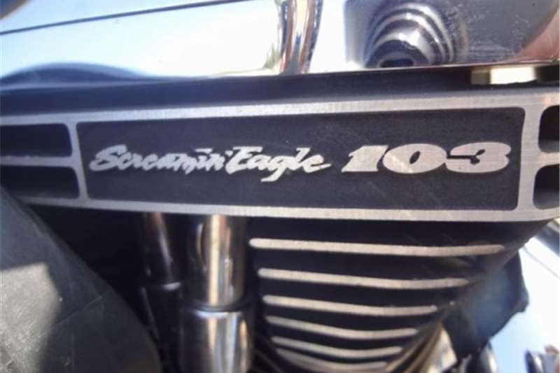 Harley Davidson Softtail 0