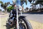 Used 2003 Harley Davidson Sportster 1200 Custom 