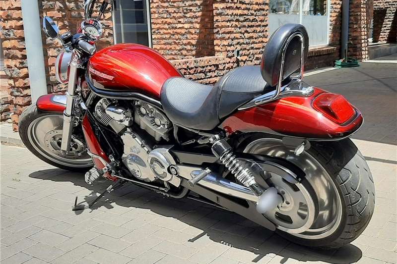 Used 2008 Harley Davidson V-ROD 