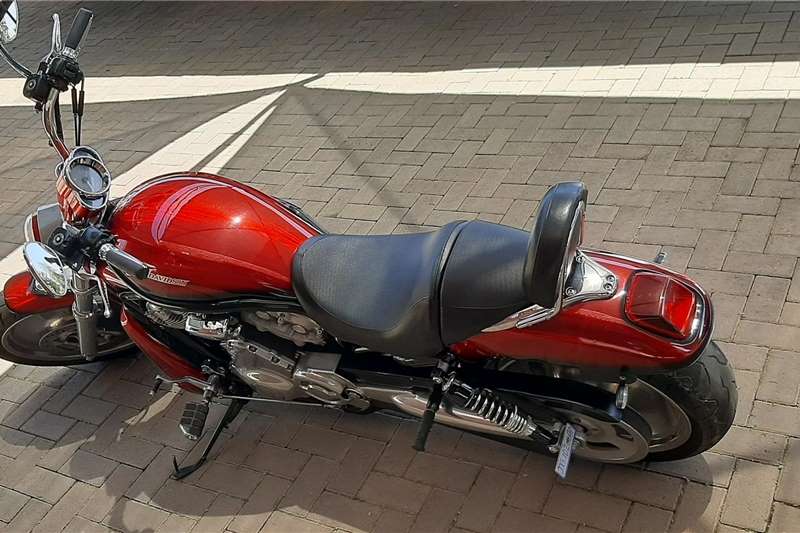 Used 2008 Harley Davidson V-ROD 