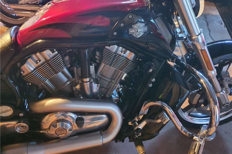 Used 2016 Harley Davidson V-ROD 