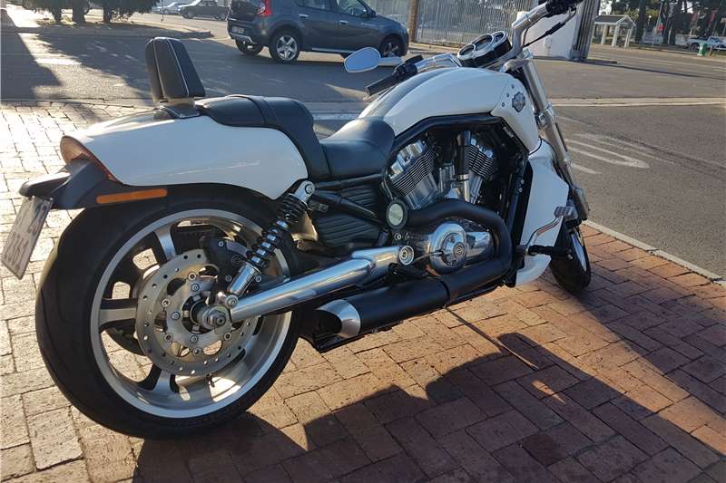 Used 2016 Harley Davidson V-Rod Muscle 