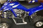  2010 Yamaha Raptor 