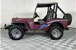  1994 Jeep Willys 