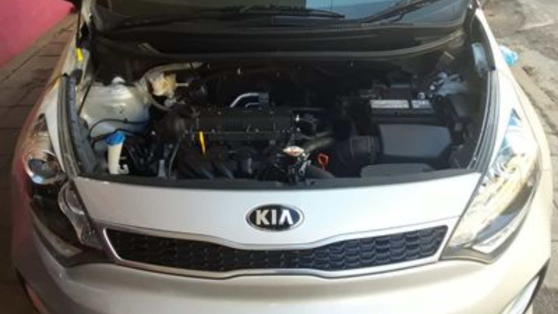 Kia Rio Hatch RIO 1.4 TEC A/T 5DR for sale in Gauteng | Auto Mart