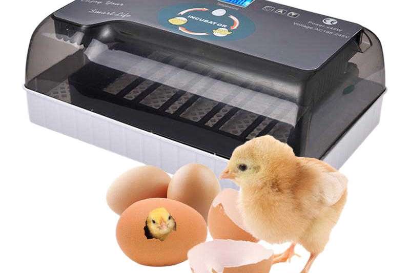 12 Egg Roller Mini Unit Egg incubator