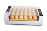 24 Egg Automatic Incubator Egg incubator