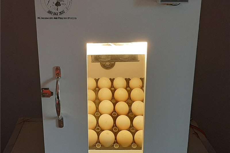 30 egg incubator Egg incubator