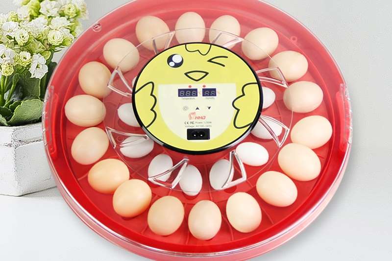 30 Egg Roller Incubator combo Egg incubator