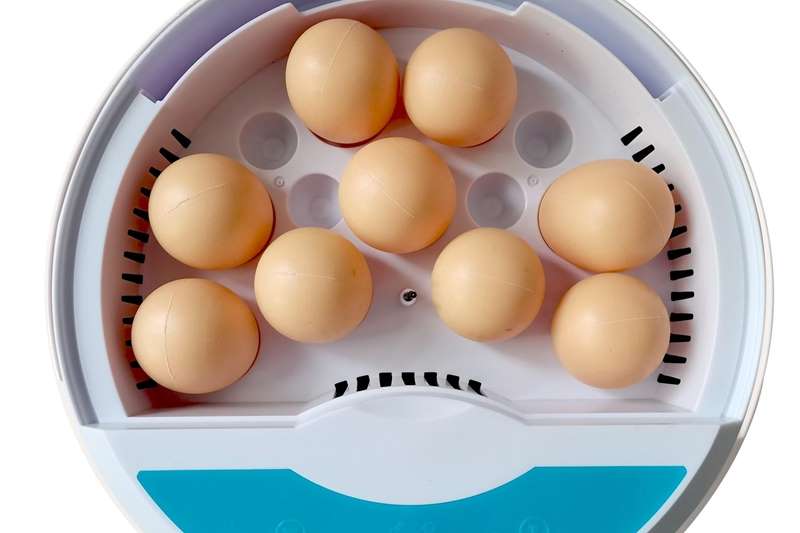 9 Egg Incubator Egg incubator