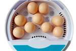 9 Egg Incubator Egg incubator