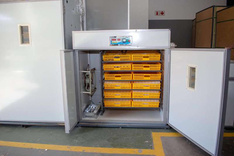 Egg incubator for sale in South Africa | AgriMag